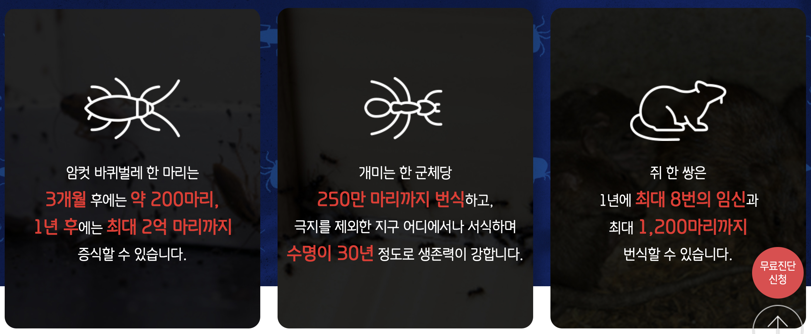 세스코 가정집 가격, 바퀴벌레 퇴치방법, 세스코 방역비용