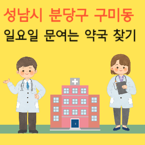 성남시 분당구 구미동 일요일 문여는 약국 찾기