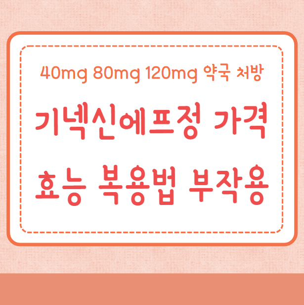 기넥신에프정 80mg 가격 효능 복용법