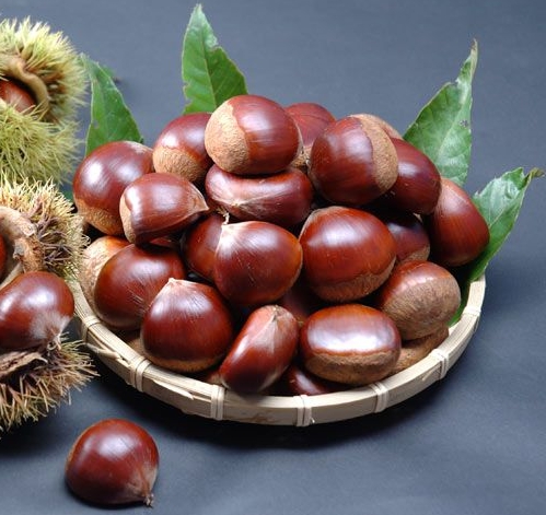 한국의 떡 종류 구름떡