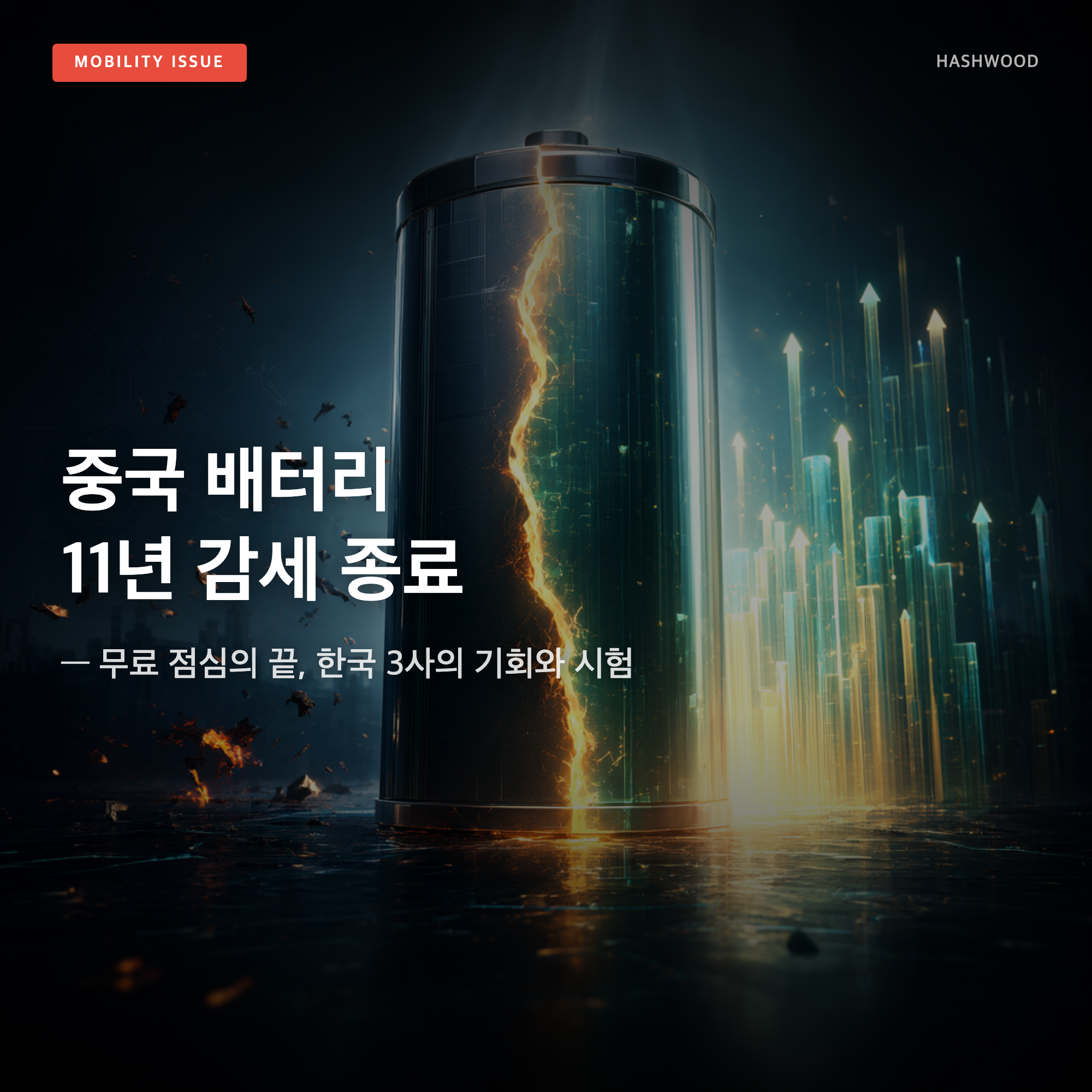 그림: 중국 배터리 11년 감세 종료 — — 한국 3사의 기회와 시험