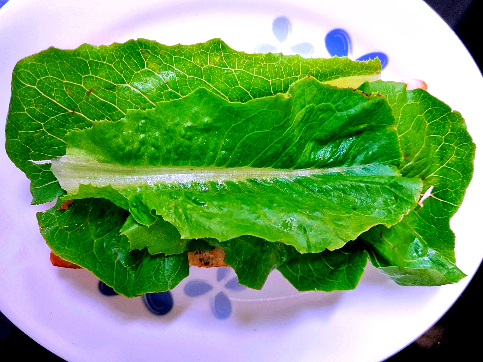 노브랜드 어묵바 치아바타 샌드위치: 홈 브런치, 간편식 간식 추천