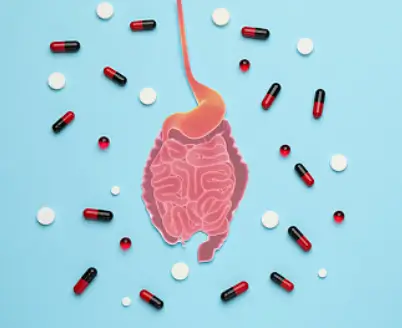 낙산균 효능과 부작용