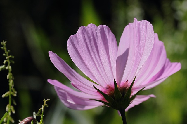 자연광 활용으로 생체 리듬을 조절하면 좋다