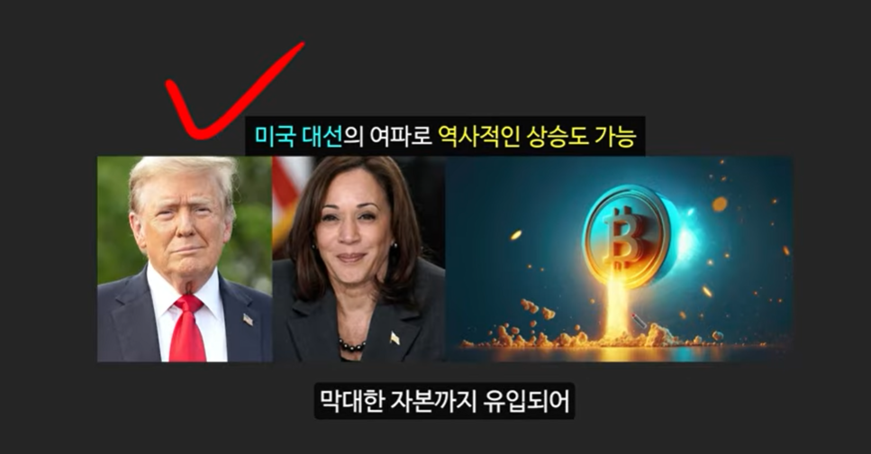 베이비 도지 코인의 급등 이유와 일론 머스크의 영향 ❘ 밈 코인 시장 전망