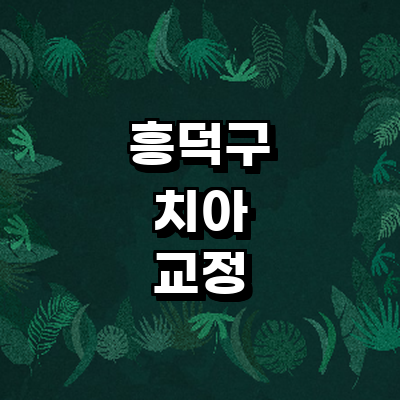 청주 흥덕구 교정 치과