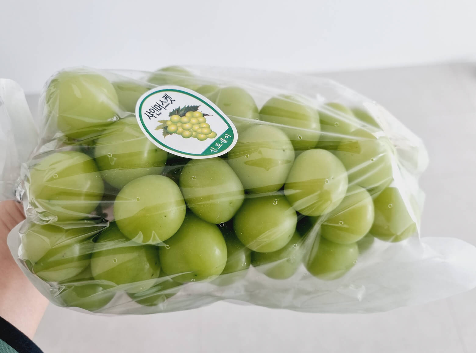 샤인머스켓 효능