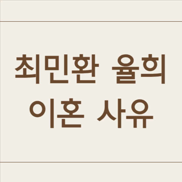 최민환 율희 이혼 사유