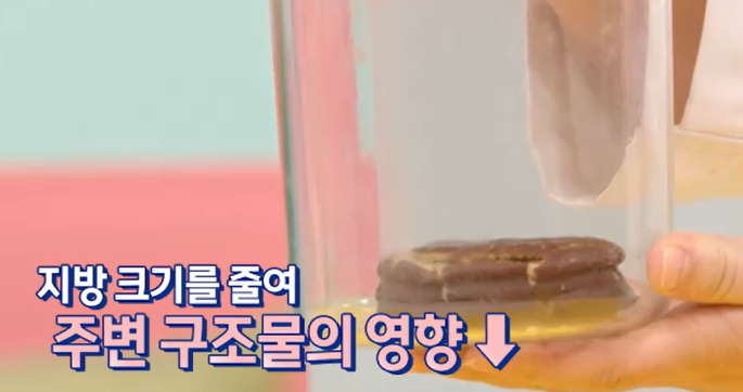 모로실 효능