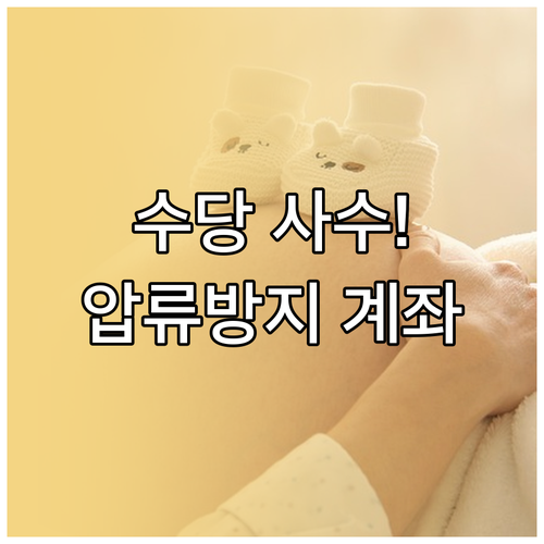 양육수당 아동수당 보호를 위한 압류방..