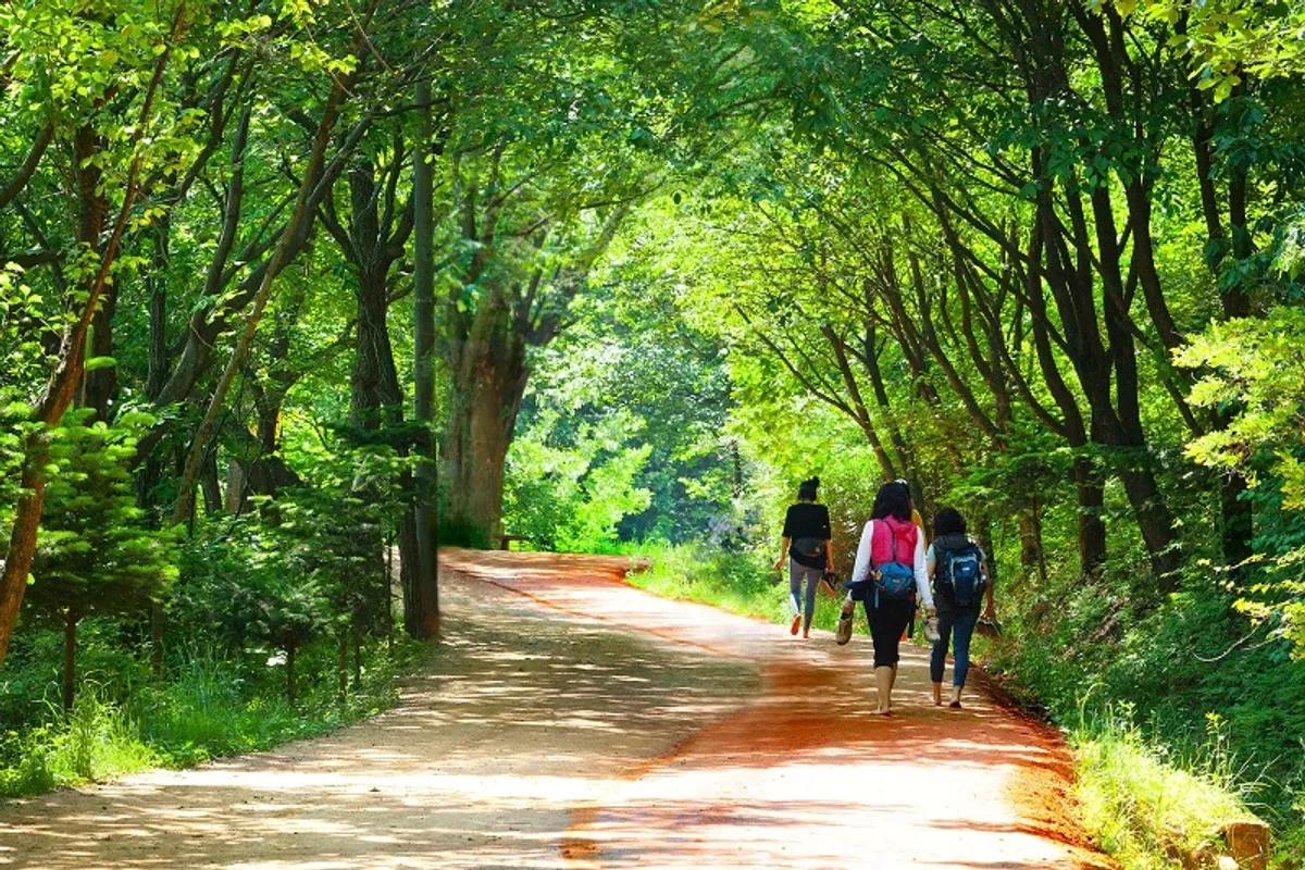 대전 여행 가이드 - 핫플 & 맛집 총정리