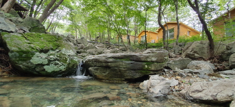 거제 자연휴양림