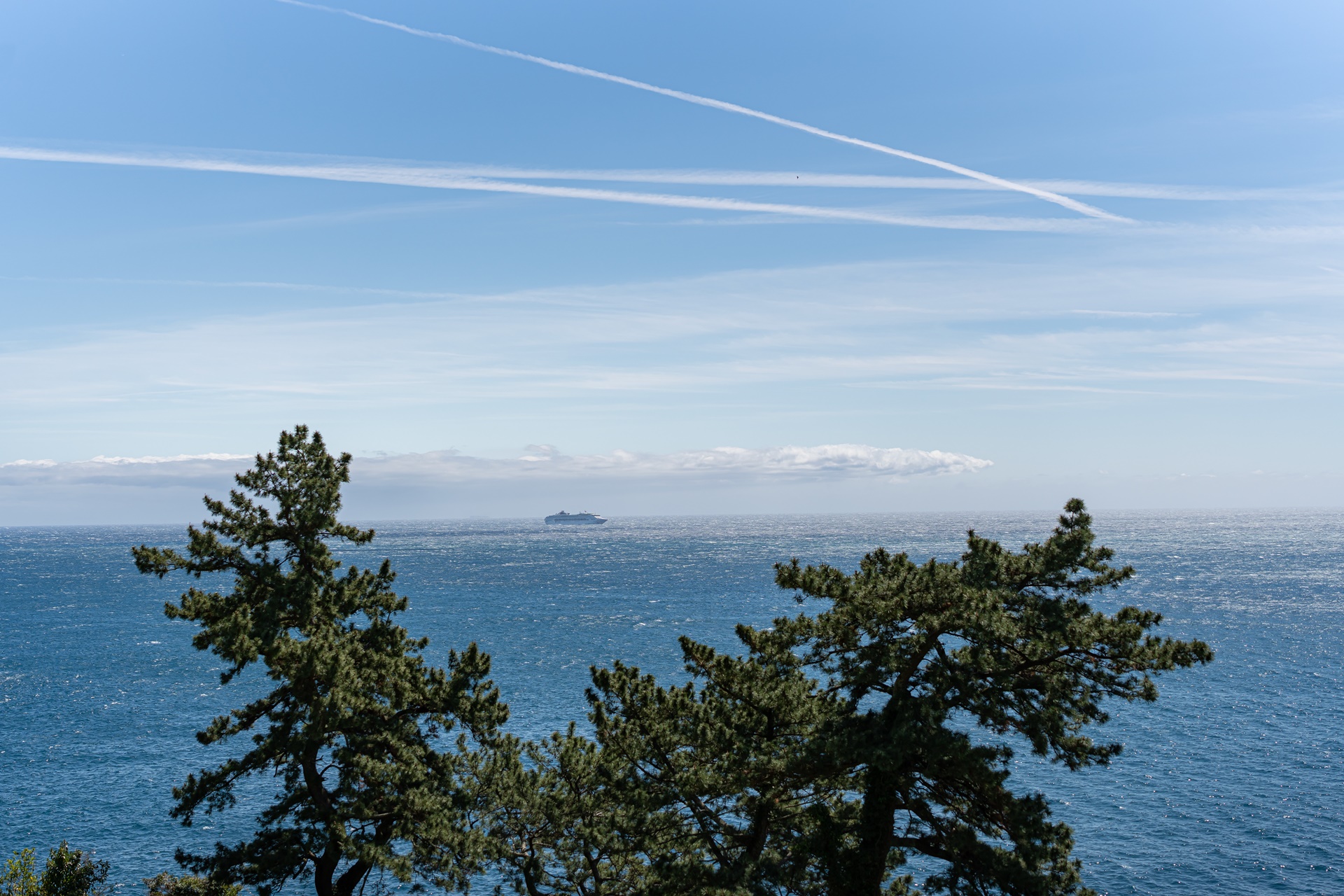 #JW가든 #JW메리어트제주 #댄싱두루미 #더플라잉호그 #아일랜드키친 #유채꽃 #제주사진 #제주여행 #제주유채꽃 #제주호텔