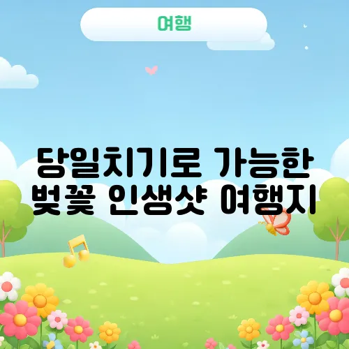 당일치기로 가능한 벚꽃 인생샷 여행지