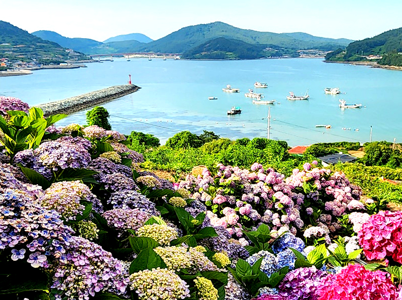 고흥 힐링파크 쑥섬쑥섬