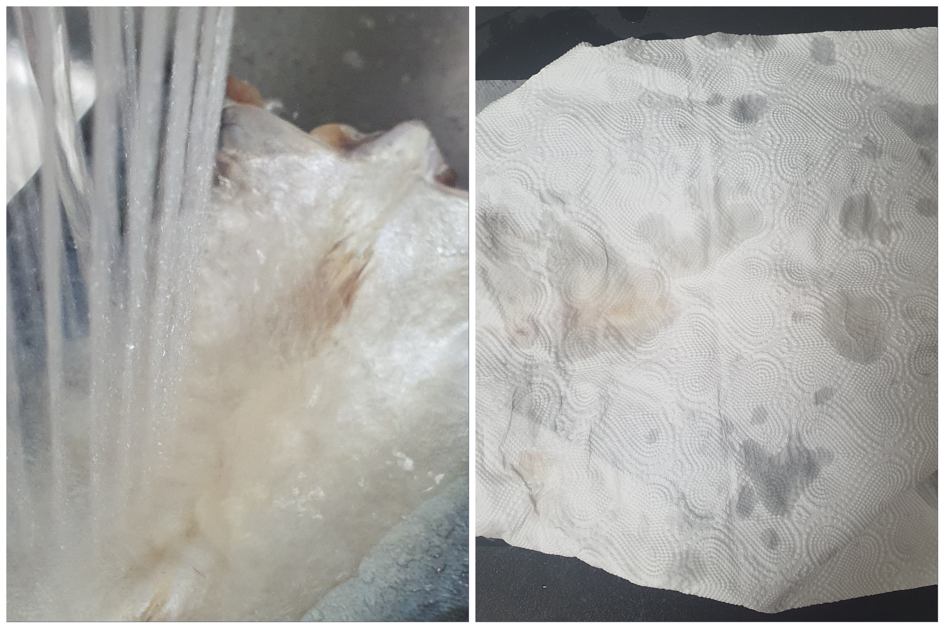 고등어는-물로-깨끗이-씻어줍니다.