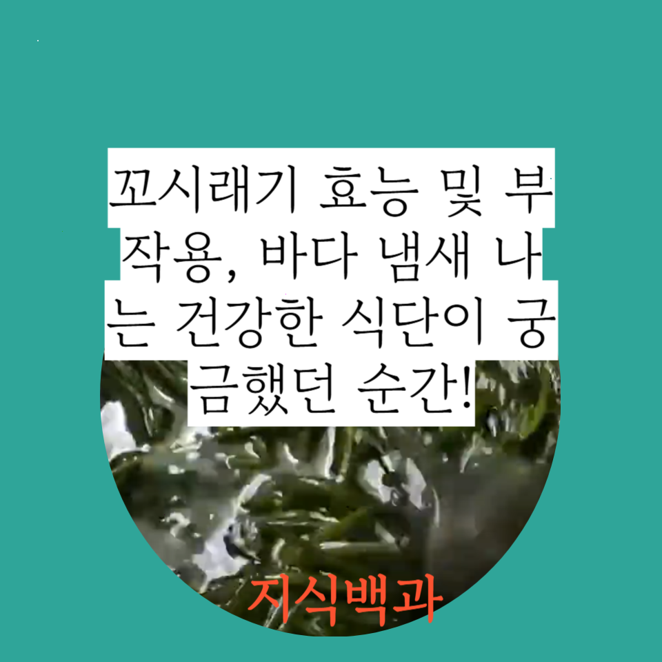 꼬시래기 효능 및 부작용, 바다 냄새 나는 건강한 식단이 궁금했던 순간!