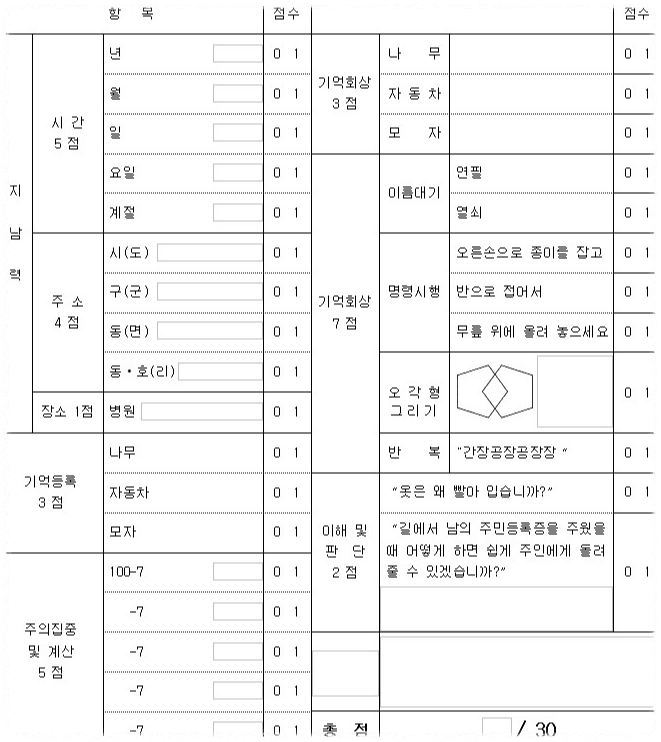 치매 MMSE K 인지기능검사