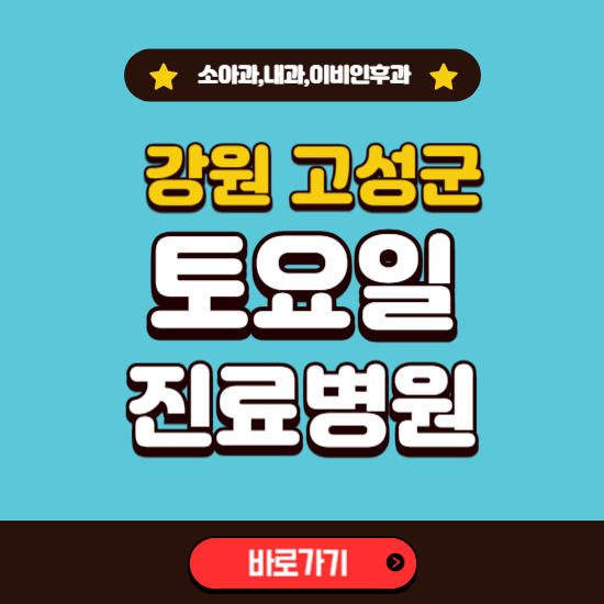 강원 고성군 토요일 진료 병원 찾기 ❘ 주말 문여는 소아과, 내과, 이비인후과 리스트