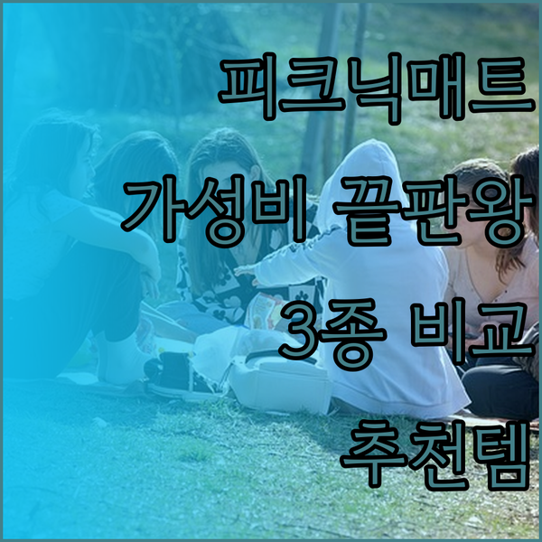 가성비 끝판왕 피크닉 매트 추천 3종