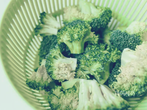 브로콜리 보관법