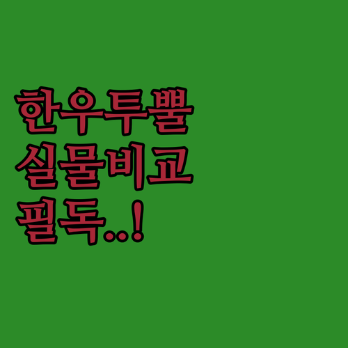 한우 투뿔 선물세트부터 식단용 소고기..