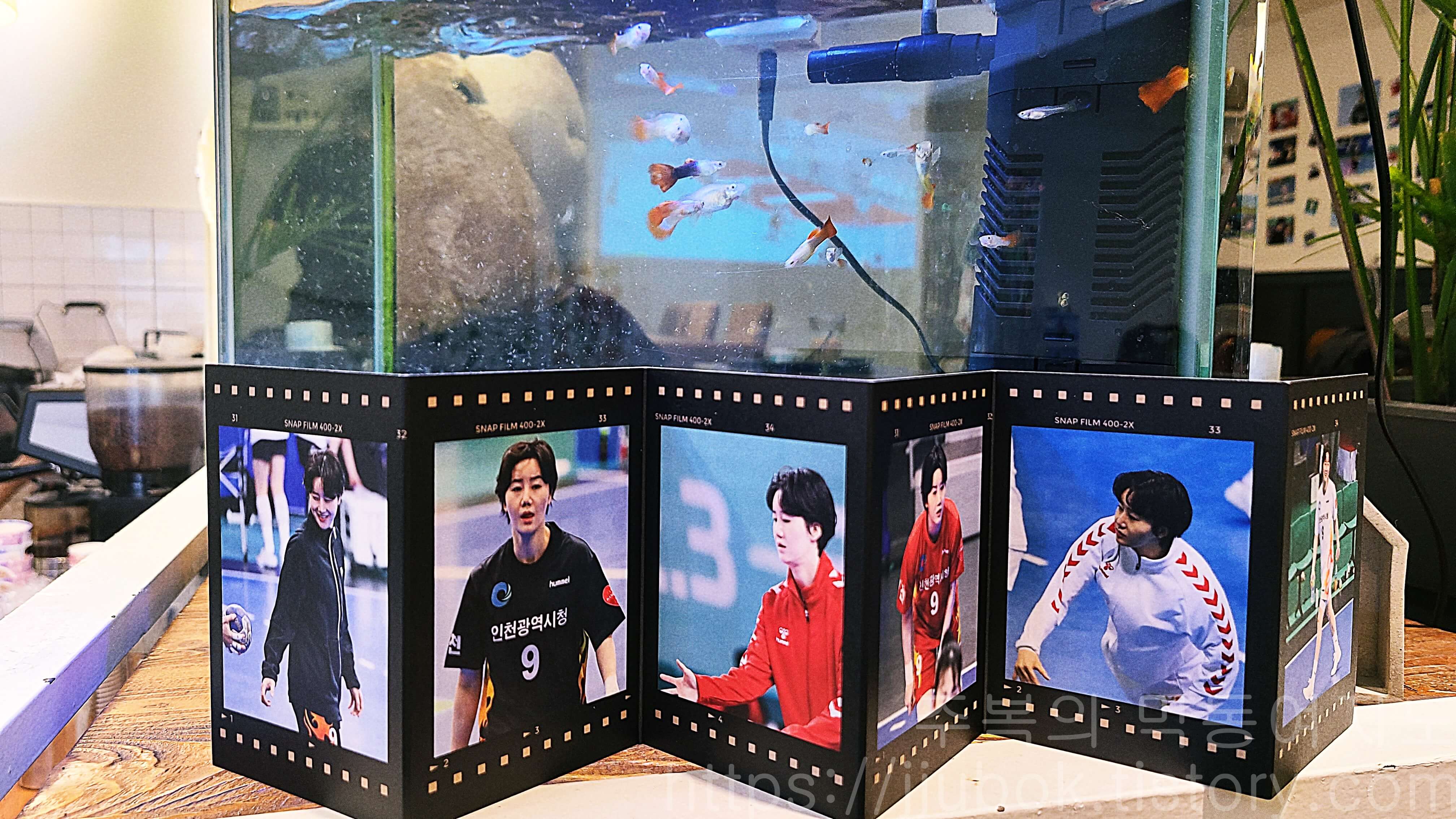 김온아-선수-사진-2