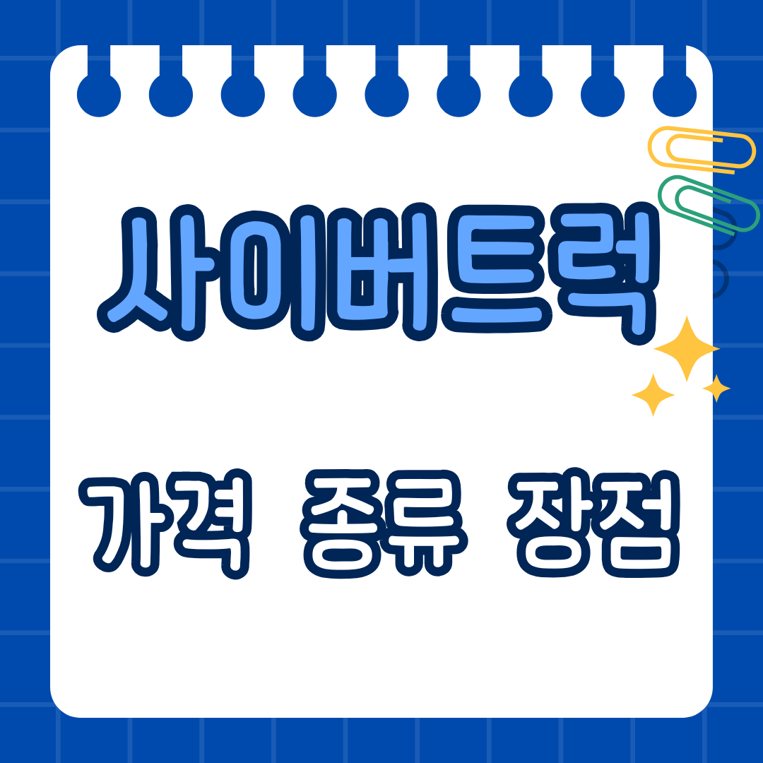 사이버트럭 후기 가격 종류 장점 국내 출시 예정