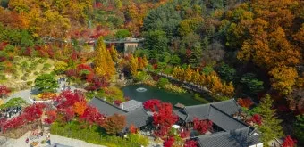 화담숲 단풍 절정시기 예약 방법까지 정리_2