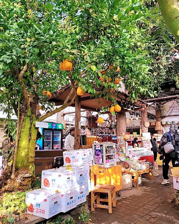 생방송오늘저녁 보령 대천 여행 바둑이네 동물원 미술관 허브랜드 모히또 허브꽃밥 디저트 플라워 카페