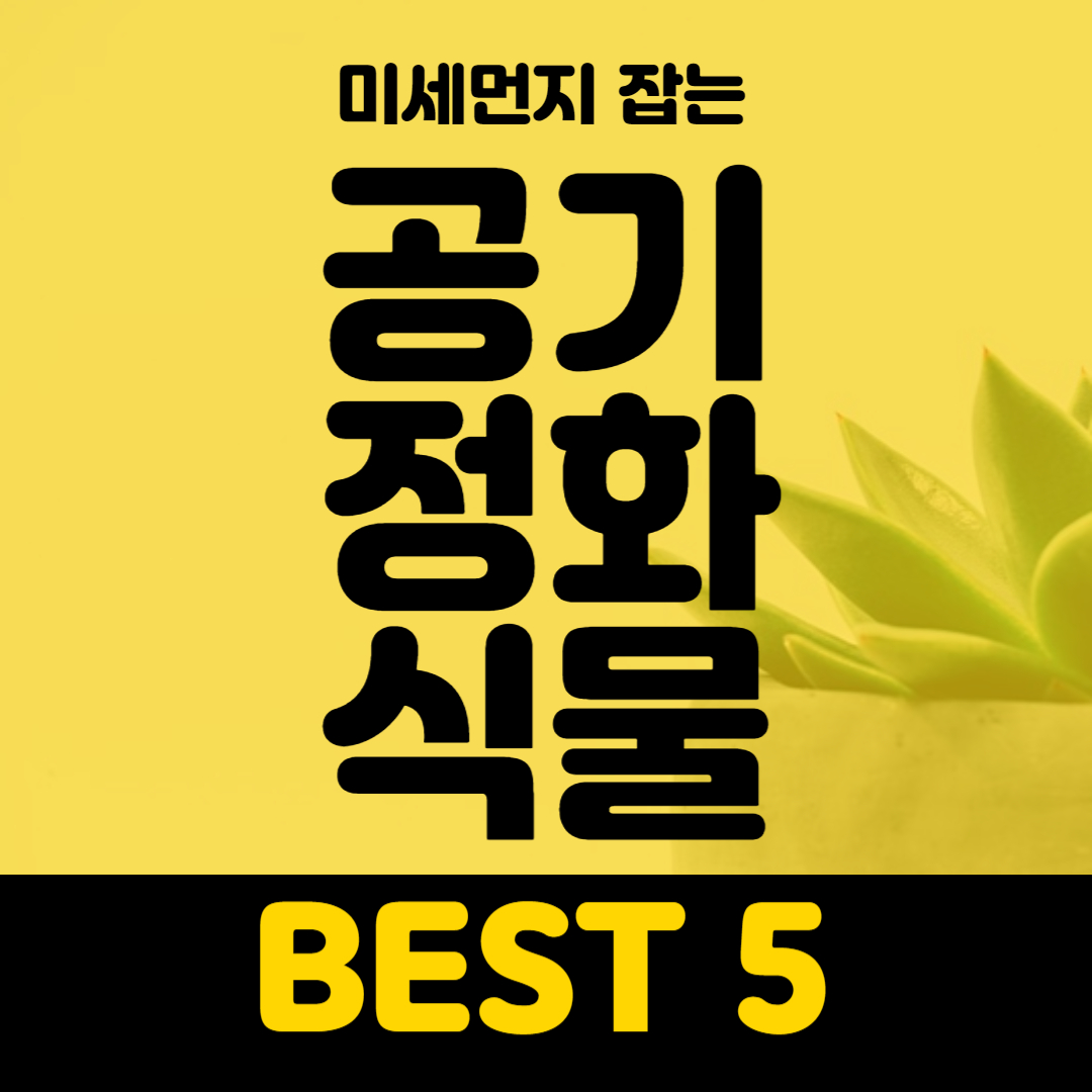 미세먼지 잡는 공기정화식물