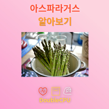 아스파라거스 탐구