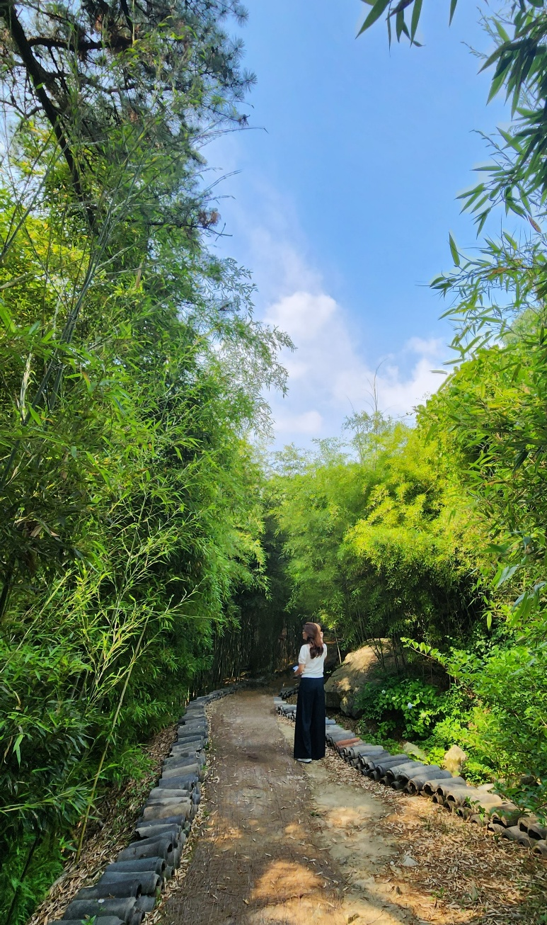 대나무 산책길