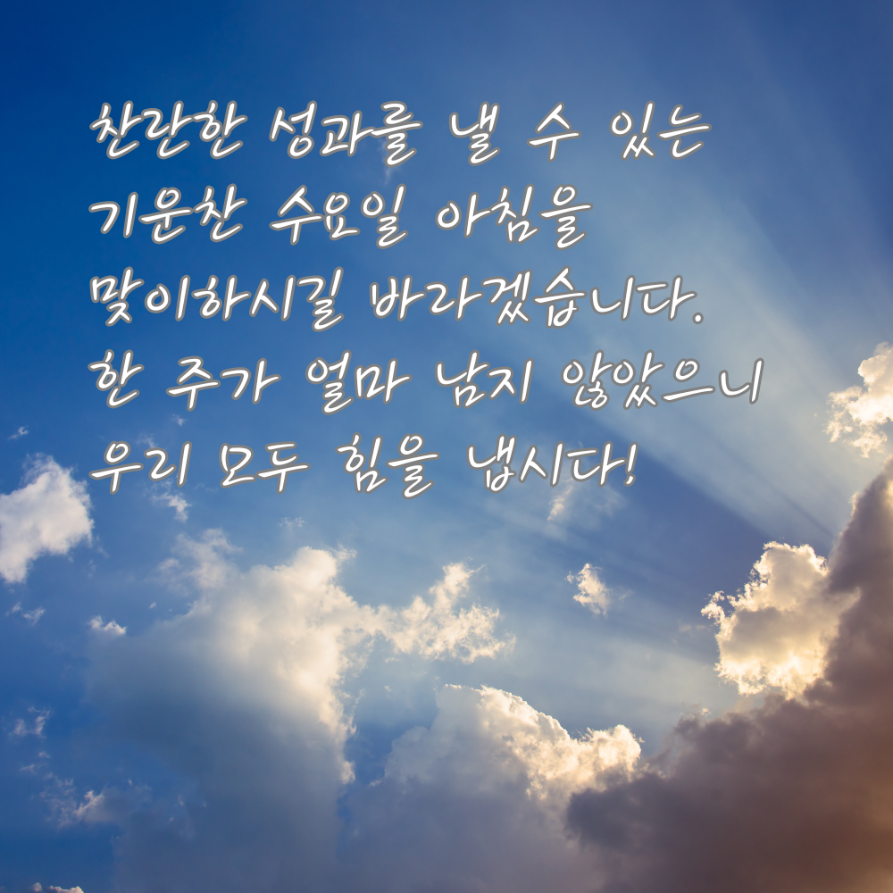 수요일 아침 인사말 이미지 모음 출근길