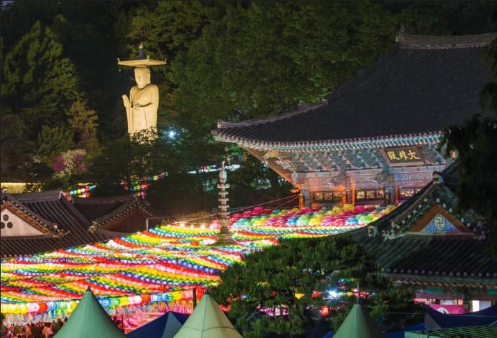 2025. 4. 19. 봉은사 연등제 야경 산책 후기 (겹벚꽃, 라일락, 홍매화 개화상황 포함)