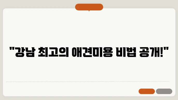 서울 강남구 애견미용실