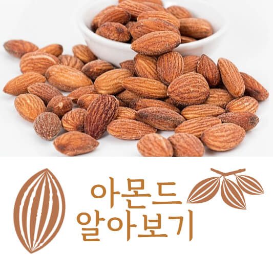 아몬드