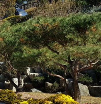 석모도 자연휴양림 숲나들e 국내 여행지 추천 관련 사진