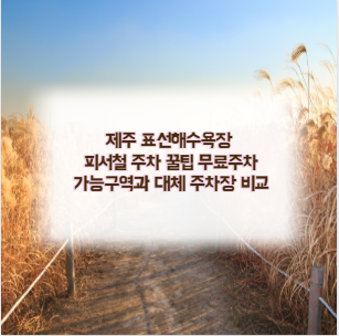 제주 표선해수욕장 피서철 주차 꿀팁 무료주차 가능구역과 대체 주차장 비교