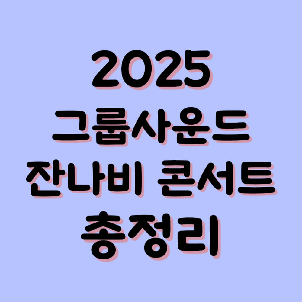 2025 잔나비 콘서트