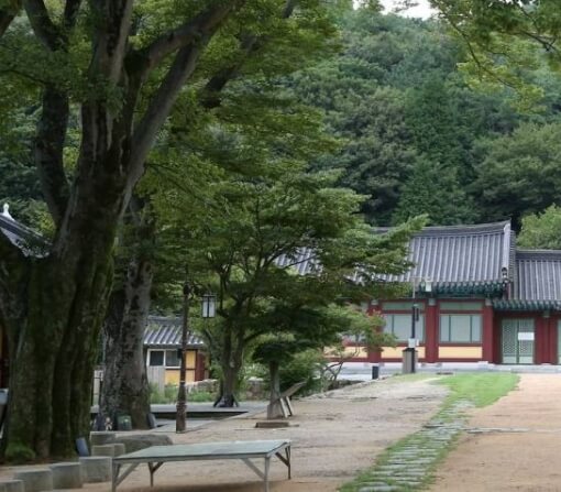 강진 가볼만한곳 베스트 10