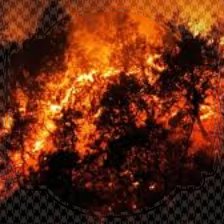 경북 산불 재난지원금 신청방법