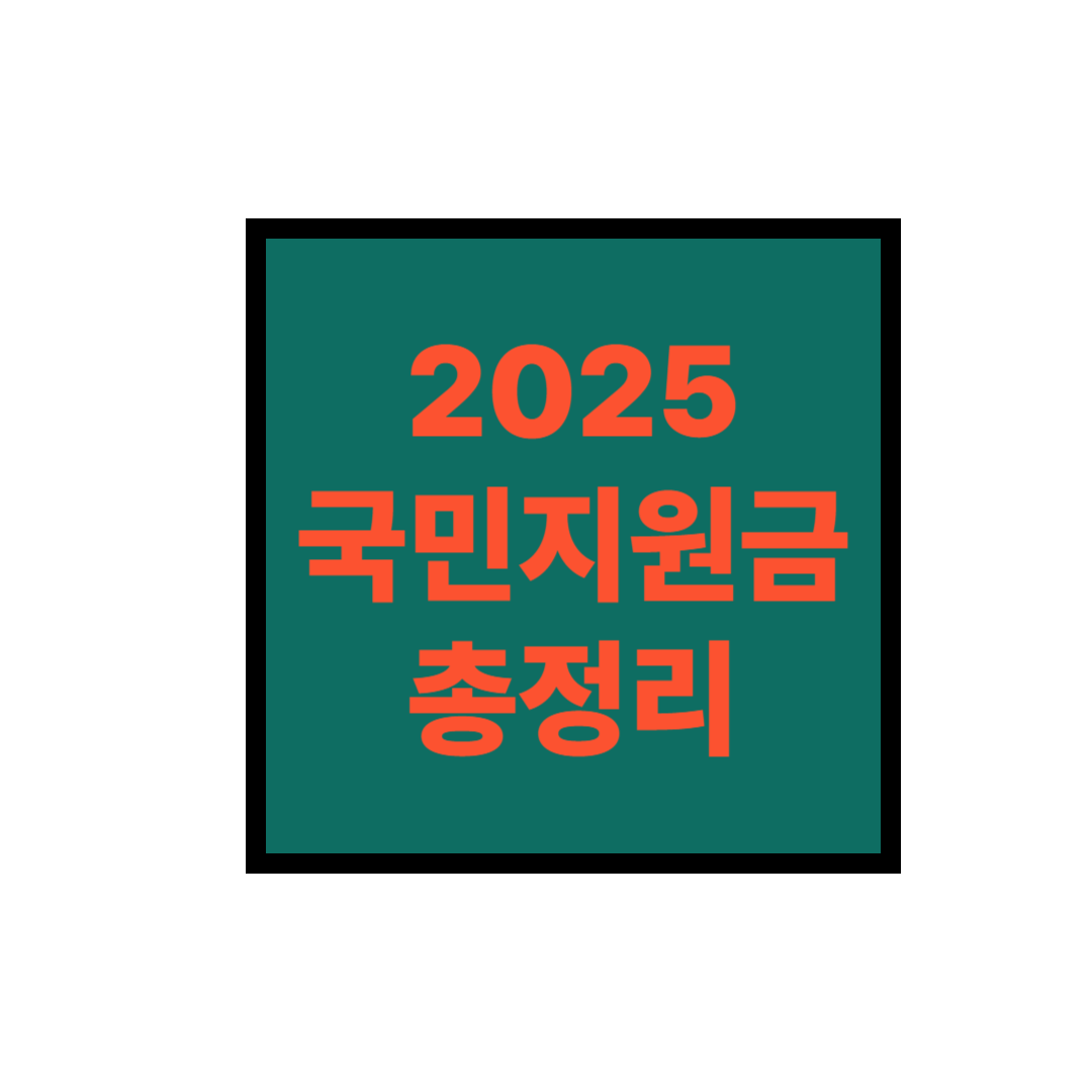 2025 국민지원금 총정리