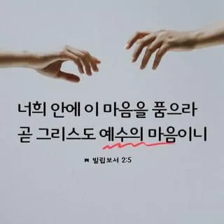빌립보서 1장 6절 묵상 - 너희 안에서 착한 일을 시작하신 이가 그리스도 예수의 날까지 이루실 줄을 우리는 확신하노라_5