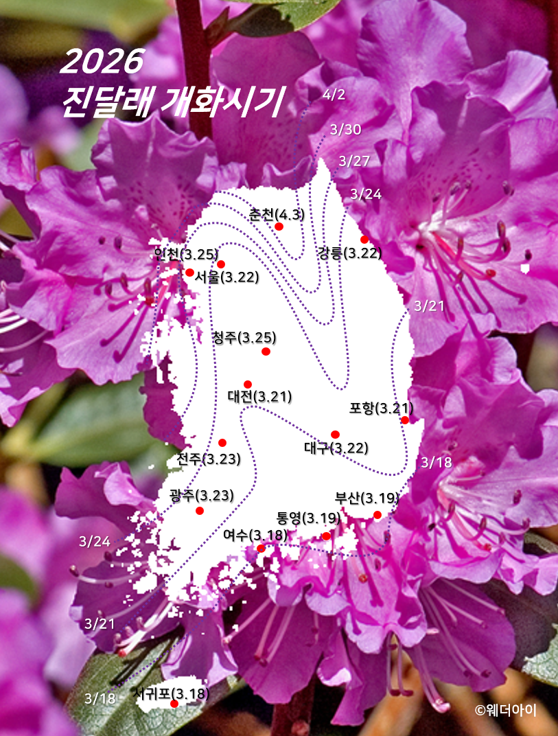 2026 진달래 개화시기