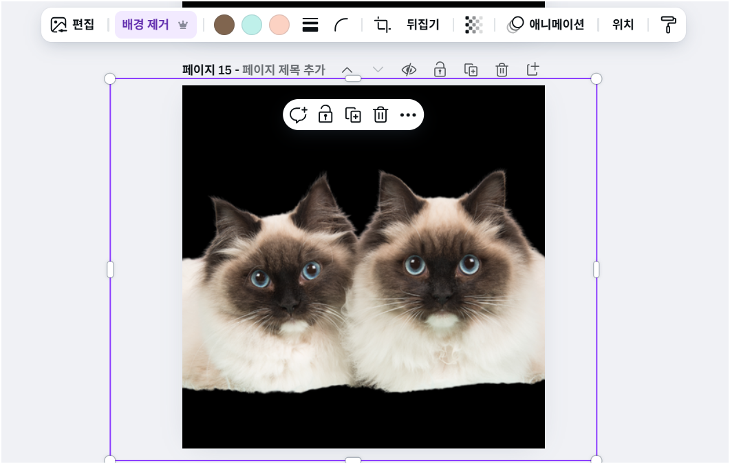 배경제거완료