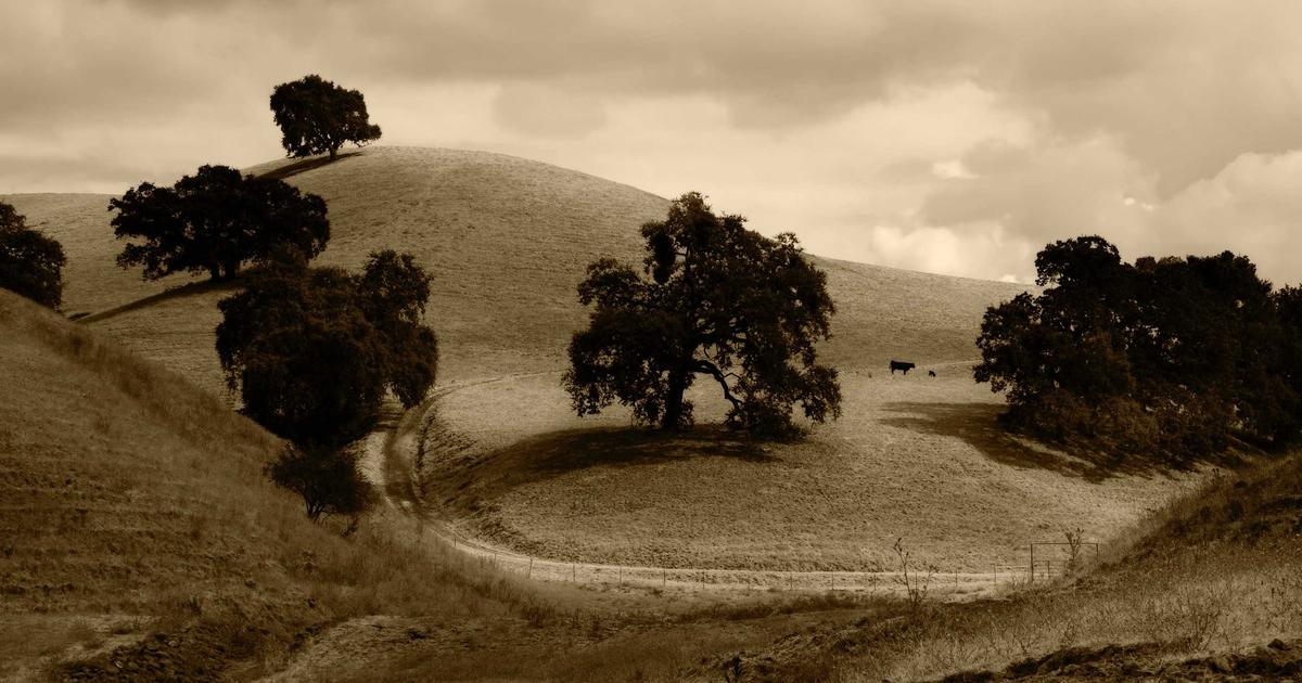 person quickly preparing healthy meal in a modern kitchen, vibrant fresh ingredients, busy lifestyle