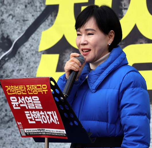 전현희 전 권익위원장 종로 출마 곽상언 맞대결