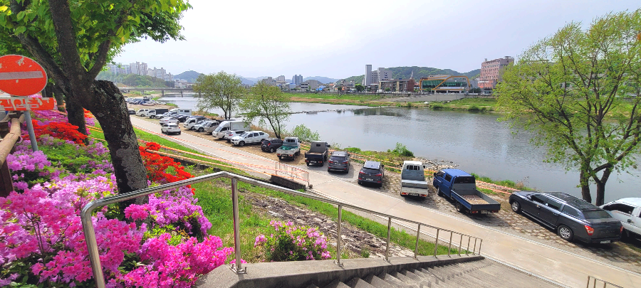 홍천 산나물축제 주차장