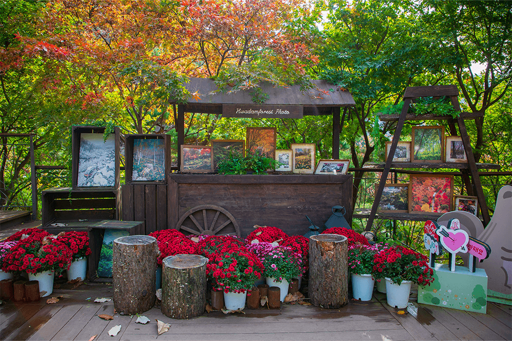 화담숲 예약 100% 성공하는 꿀팁